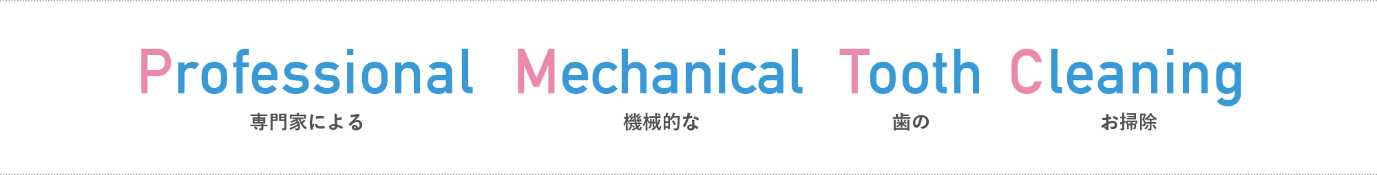 Professional Mechanical Tooth Cleaning